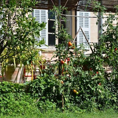 Les Passiflores Γκρας Εξωτερικό φωτογραφία
