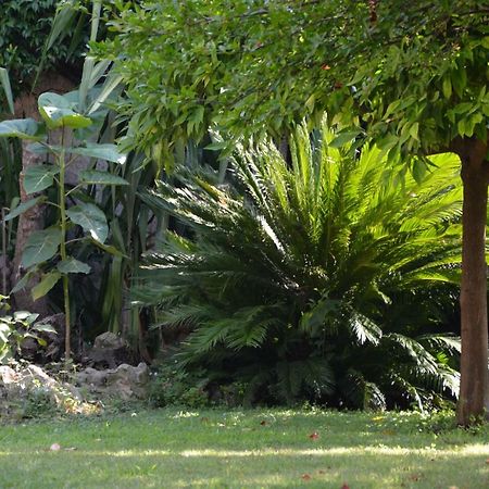 Les Passiflores Γκρας Εξωτερικό φωτογραφία