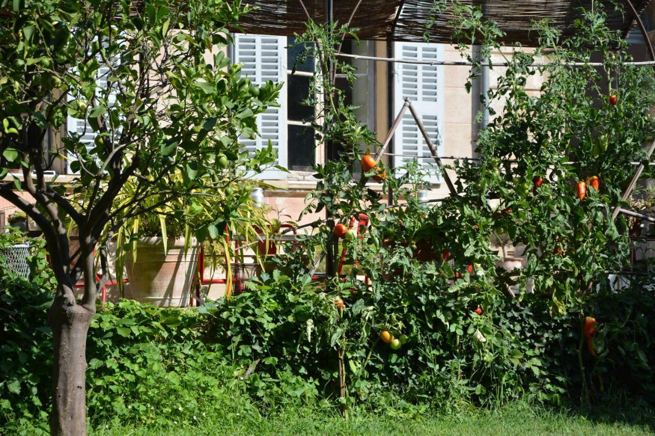 Les Passiflores Γκρας Εξωτερικό φωτογραφία