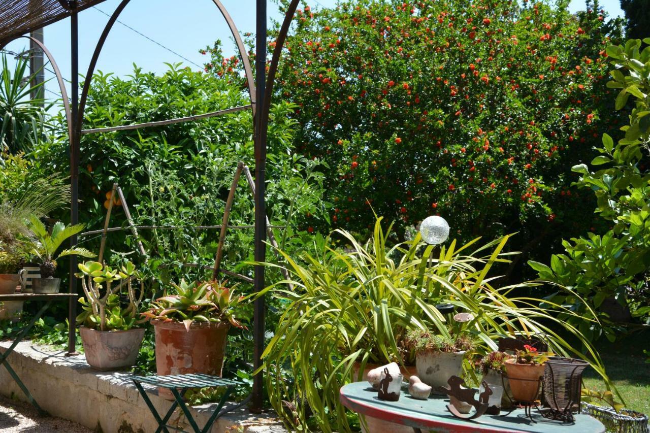 Les Passiflores Γκρας Εξωτερικό φωτογραφία