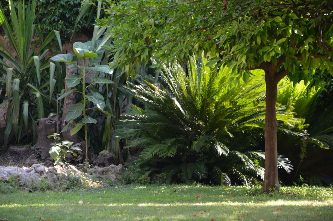 Les Passiflores Γκρας Εξωτερικό φωτογραφία